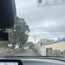 커먼스테이 | 제주 박수기정뷰 예쁜 숙소 추천 커먼스테이 시그니처클리프