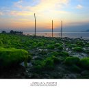 보성바다스토리리조트 이미지