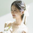 롤링제이 이미지