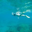 스킨바나나 이미지