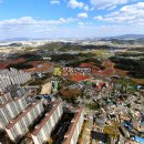 양지로·양지남로 이미지