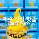 탑동 테마거리 | [제주도 핫플 탑동 신상카페] &#34;귤메달하우스&#34; 다녀왔어요!