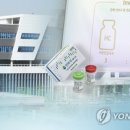 동일유통주 이미지
