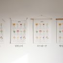 패브릭일상 이미지