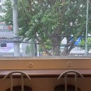 커피하우스3 | [수원 카페투어] 분위기 맛집 디저트 맛집 수원 화서동 카페 슈드커피하우스 후기