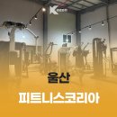 피트니스 코리아 네이버블로그