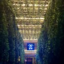 점4리 노인회관 | 성남 모란역 술집 추천 캠핑포차 불멍 가성비 좋은 불쇼 바베큐 맛집