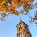 유현목장 이미지