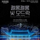 은하수 제주 | 제주 야간 명소 제주목관아 미디어아트 솔직후기