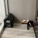 제이아이스테이호텔