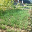 장성편백숲황토펜션 이미지