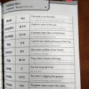 텔레스코프 이미지