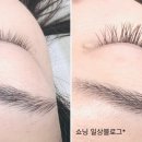 래쉬엔젤 이미지