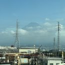 게으름의 낭만 이미지