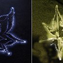 사람과 기(氣) 식품 이미지
