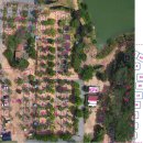 공지숲매점 이미지