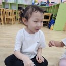 찾아가는 유아숲-지렁이에 대해 알아보아요🪱 이미지
