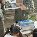 서리풀문화광장 앞 | 서리풀 노리학교 문화예술공원점(유아 숲체험 예약/다양한 만들기가 있는 키즈카페)
