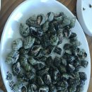 또오래펜션 이미지