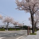 안성맞춤랜드공원8 이미지