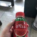 거잠포-버스정류장 | 인천국제공항 + 인천공항 자기부상철도 탑승후기(2017/08/28)
