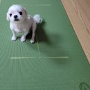 (주)세종식자재마트