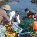 태흥2리 이미지