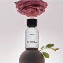 햇살나무한의원 | 향으로 옮기면 무슨 냄새가 날까 — 엘로리아 12종, 하루에 다 맡아본 날 (feat. 스니프 향수 소셜링 후기)