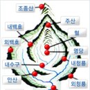 현충원 산책길 이미지