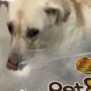 냥이멍이세상 이미지