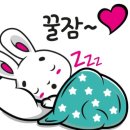 넘버원 태권도 이미지