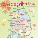 감탄사가 절로 나오는 알록달록 단풍 명소 5곳
