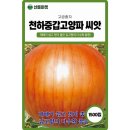 주식회사 천하 이미지