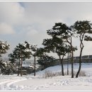 장안공원 이미지