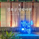 (야간)나도 집밥왕 | 경복궁 야간투어 별빛야행 비오는날 변수 많았던 후기