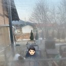 가평 독채펜션 자쿠지와 사우나가 있는 하녹타케 ‘스톤‘ 후기