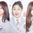 젤리피쉬 이미지