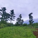 동광리-8 이미지