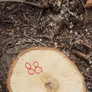 은평-088 이미지