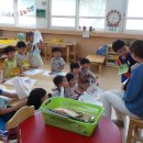 봉산초교병설 이미지