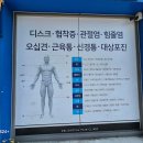 서울특별시 서대문구 남가좌제1동 정형외과 전문병원 추천 5곳 어깨 | 손가락 | 목 | 관절 | 무릎