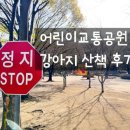 평촌교통 | 안양 평촌 강아지 산책 어린이교통공원