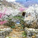 슈올즈전주도청점