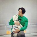 하이도기 이미지