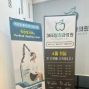 365탑치과의원 이미지