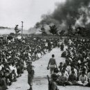 백두산 범 이미지