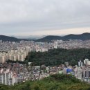 안산중앙도서관 일원 네이버블로그
