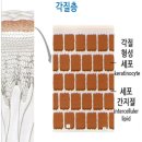 엠뷰티스킨케어