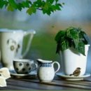 아름다운인연 이미지