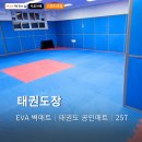 왕무체육관(태권도) | 중학교 태권도부 매트 시공 후기｜25T 태권도공인매트 + EVA 벽매트로 안전 업그레이드